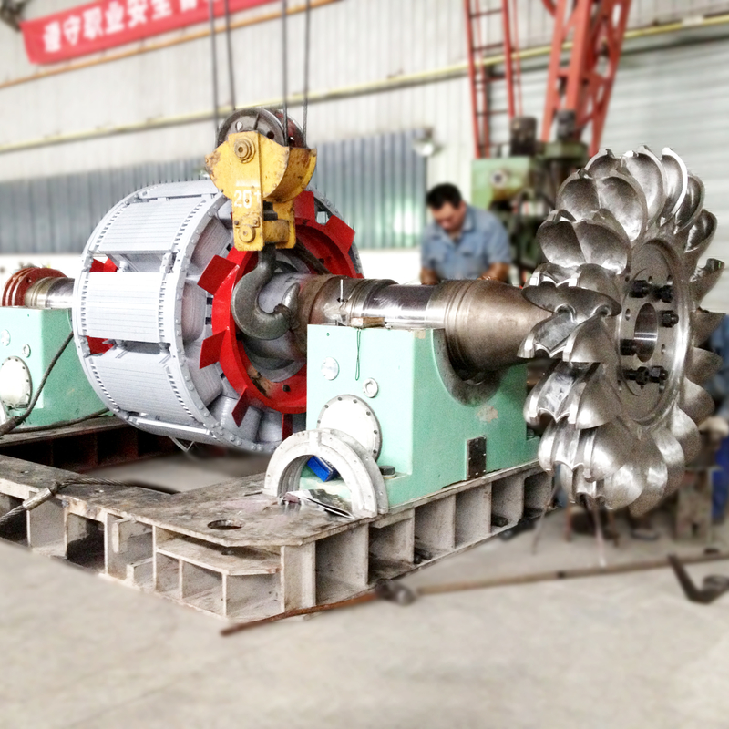 6-10kV Rated Voltage Pelton Wheel Turbine Generator with Cast Iron/Stainless Steel Construction