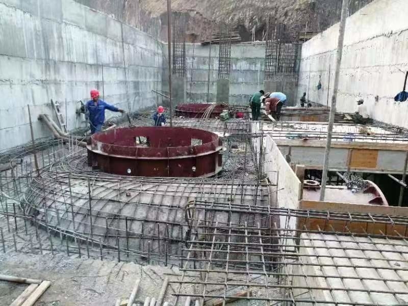 450-1000RPM Rated Speed Francis Turbine Generator for Vertical or Horizontal Performance