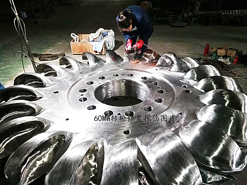 Speed Pelton Turbine Generator 6-10kV Rated Voltage 500-3000r/min Speed Range