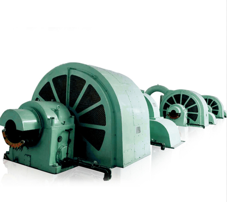 IP54 Brushless Pelton Turbine Power Generator 100kw-50mw Power Output 6-10kV Rated Voltage