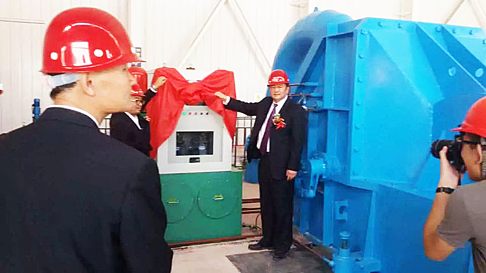 IP54 Protection Grade Pelton Type Turbine Generator for Power Generation in Cast Iron/Stainless Steel