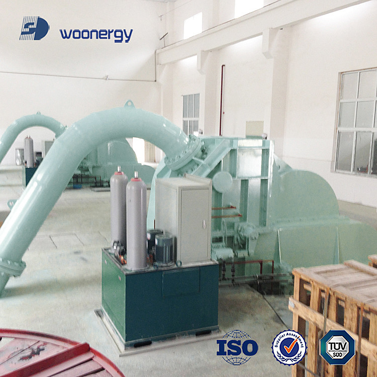 Automatic/Manual Water Turbine Generator Indoor/Outdoor 220V-690V Customized Color Vertical/Horizontal Installation