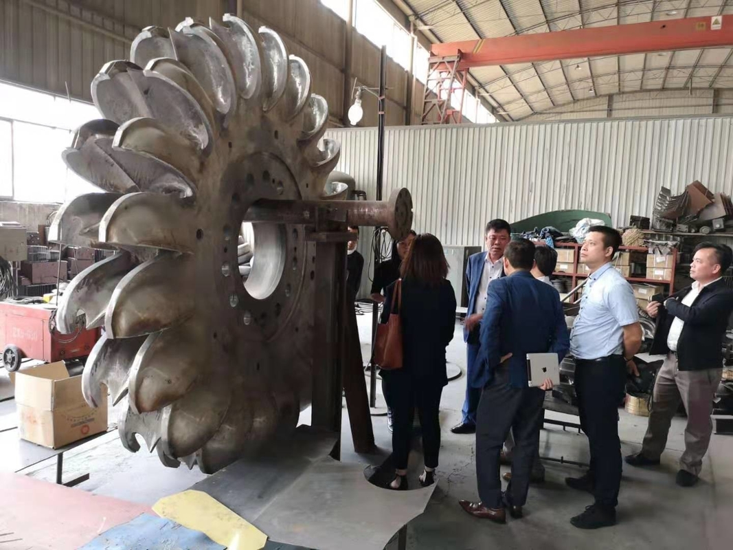 Head Impulse Turbine Generator IP54 Protection Grade 6-10kV Rated Voltage Cast Iron/Stainless Steel