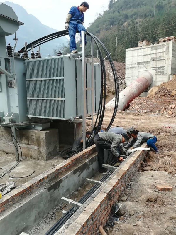 Vertical Brushless Water Turbine Generator 200kw-20mw Power Output Indoor/Outdoor Installation 50Hz/60Hz