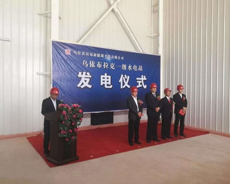 500-3000r/min Brushless Cast Iron Pelton Turbine Generator With F Insulation Class