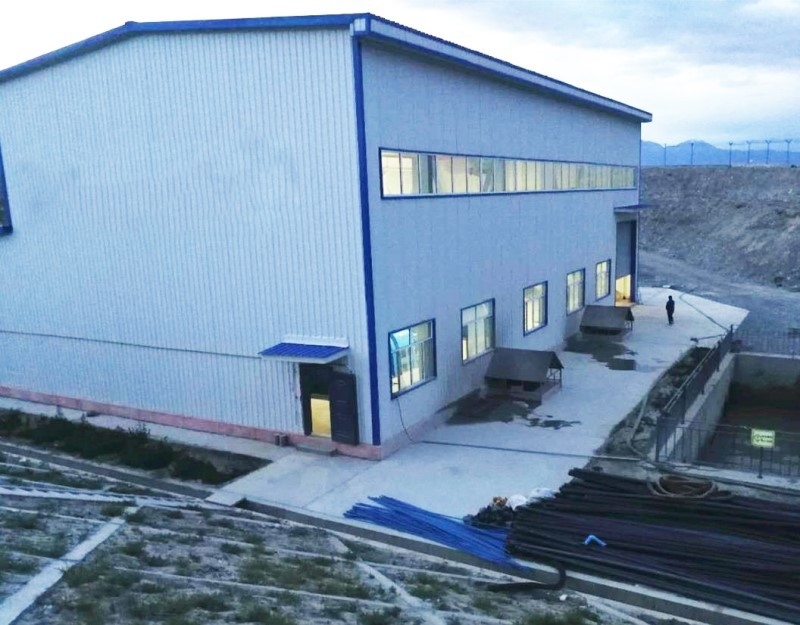 500-3000r/min Brushless Cast Iron Pelton Turbine Generator With F Insulation Class