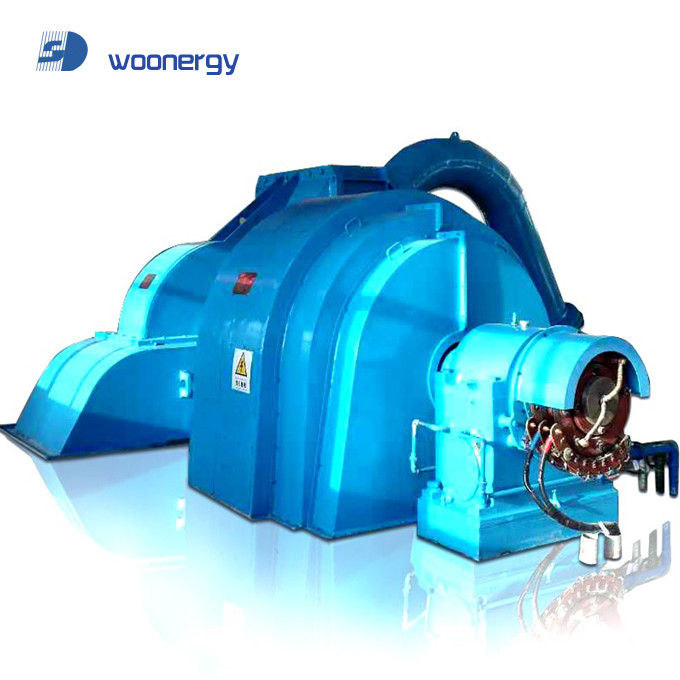 10kV Pelton Turbine Generator with 60Hz Frequency Cast Iron/Stainless Steel Construction Air/Oil Cooling