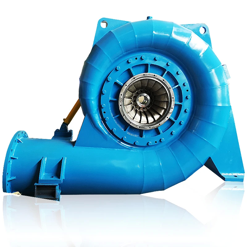 Vertical/Horizontal Installation Water Turbine Generator with 220V-690V Rated Voltage