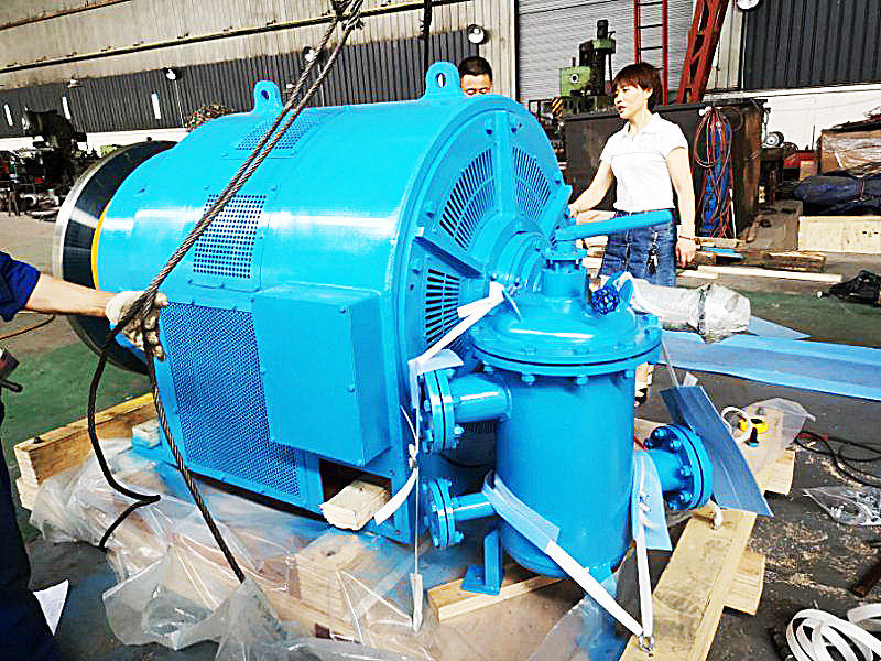 Vertical Water Turbine Generator Brushless 450-1000 RPM Air Cooled 220V-690V 50-60Hz 300-3000rpm