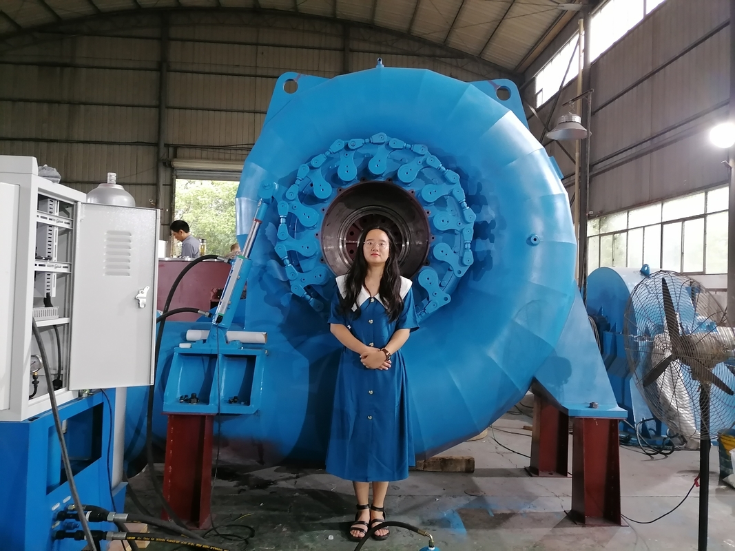 Customized Color Versatile Water Turbine Generator for Varied Power Needs