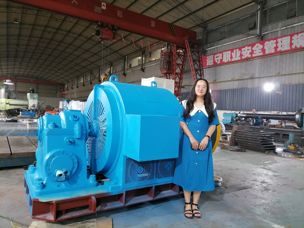 Air / Water Cooling Water Turbine Generator For 200kw-20mw Rated Frequency 50Hz/60Hz