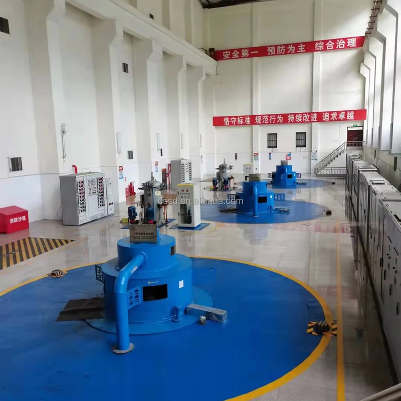 Customized Voltage Vertical/Horizontal Water Turbine Generator With Automatic / Manual Control Panel
