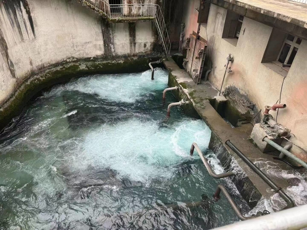 3200kw to 5000kw Hydro Power Francis Turbine Alternator Generator for Water Turbine Hydro Generator