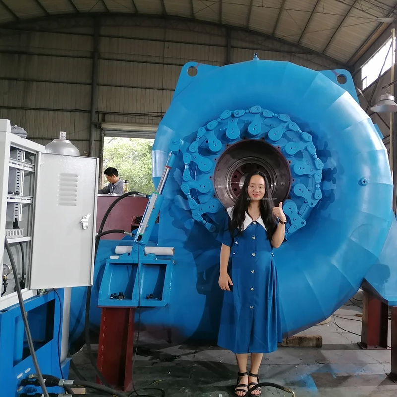 300KW-20MW Francis Turbine Generator with 50Hz/60Hz Frequency and Adjustable Rated Voltage