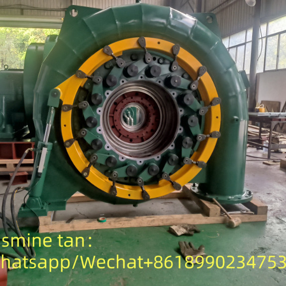50Hz/60Hz Frequency Water Turbine Generator for Eco-Friendly Hydroelectric Power Production