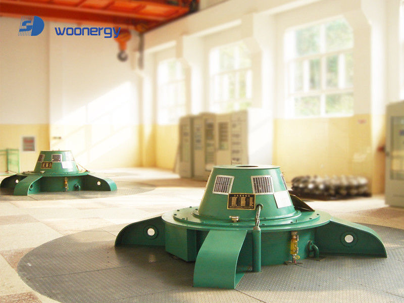 1mw Dynamo / Kaplan Turbine Generator Low Water Head For Hydro Power Plants