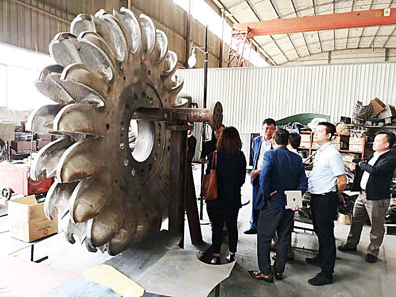 Adjustable Hydro Turbine Runner Polishing Blades Or Low Speed Rotation Custom Open/Closed Design