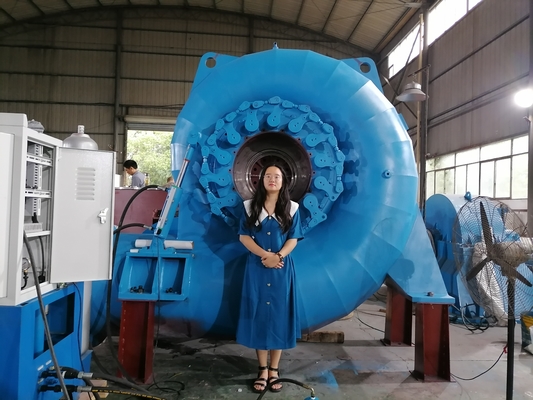 Customized Color Versatile Water Turbine Generator for Varied Power Needs
