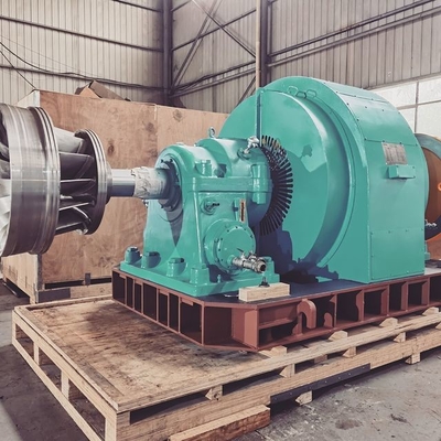50-Years Vertical / Horizontal Installation Water Turbine Generator Brushless/Static Silicon